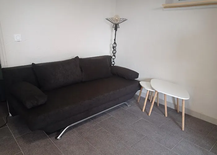 Appartement Rez De Chausse
