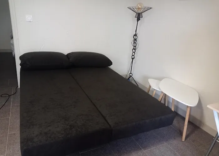Appartement Rez De Chausse